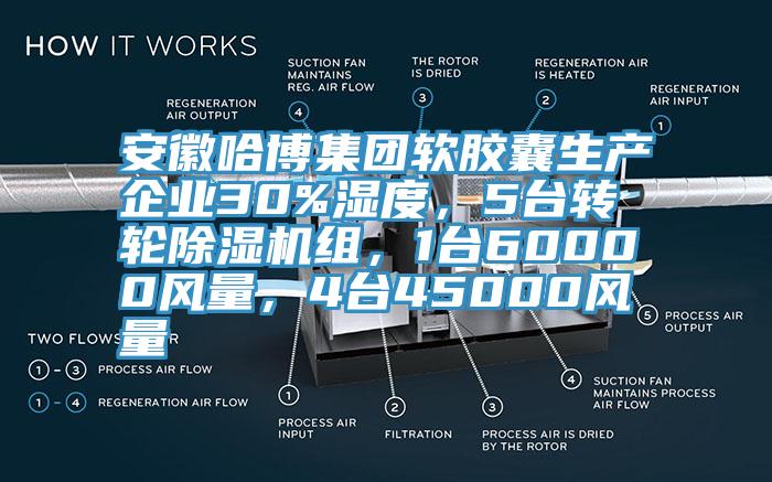 安徽哈博集团软胶囊生产企业30%湿度，5台转轮除湿机组，1台60000风量，4台45000风量